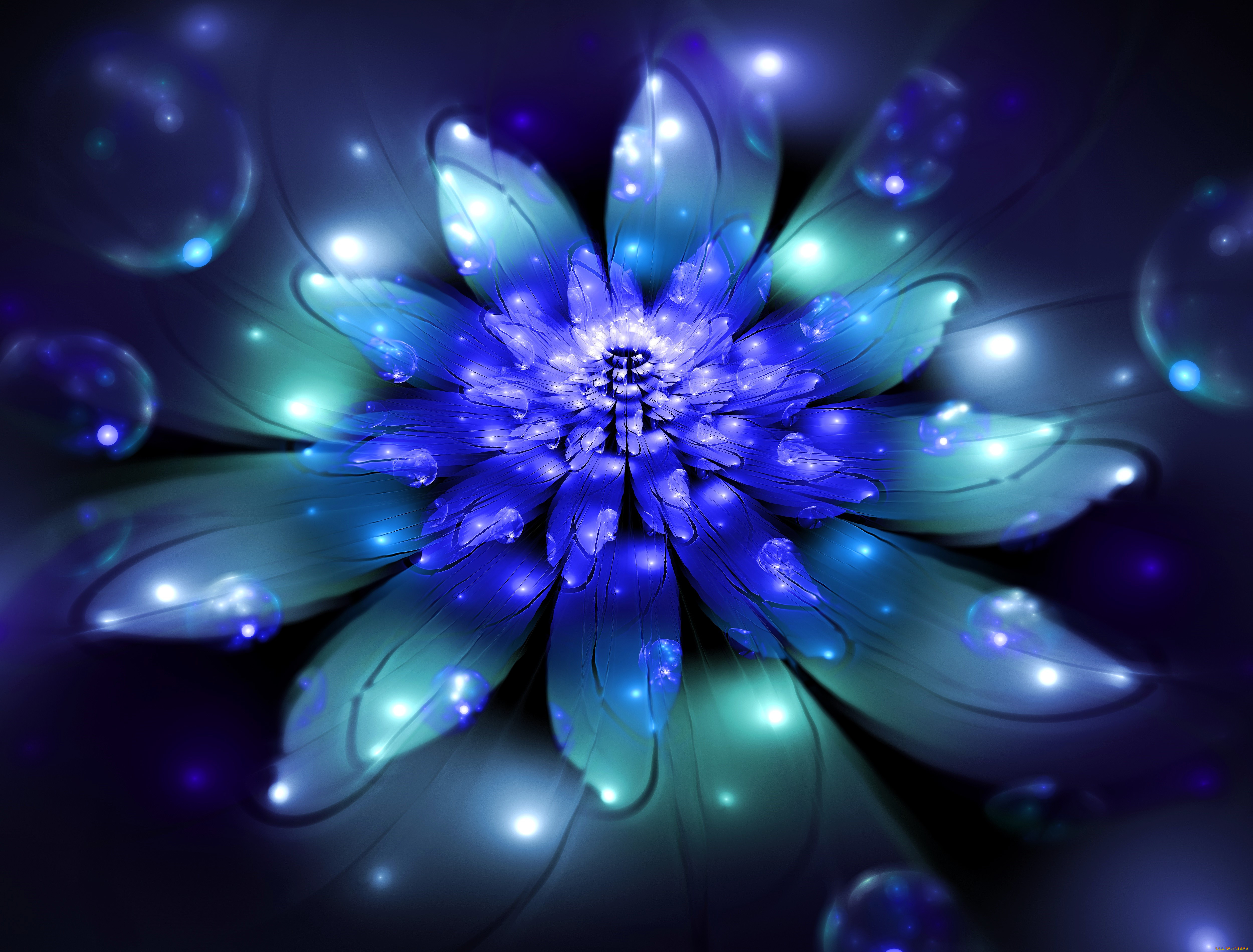 3 ,  , flowers, , 